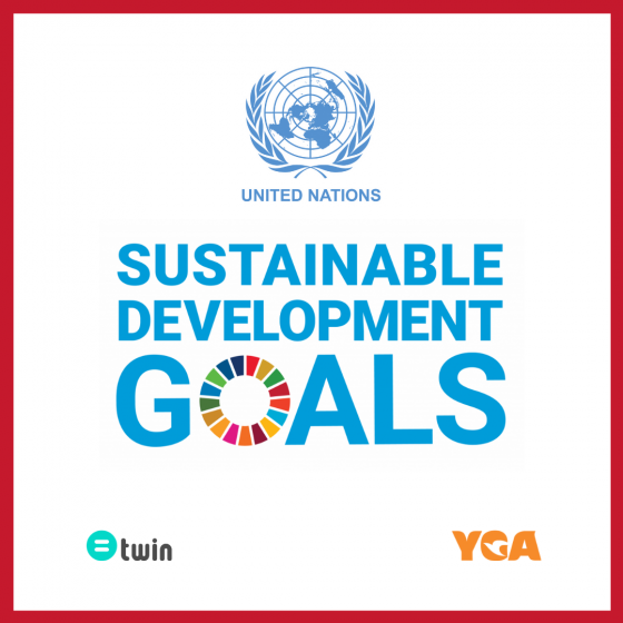 Twin: On The Way of Sustainable Development  Goals