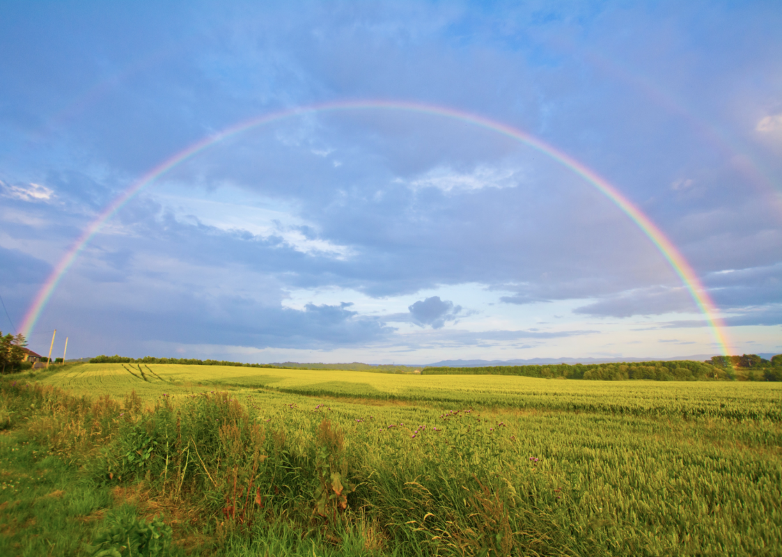 Water droplets in the atmosphere bend light to create rainbows.