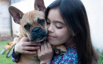 How Animals Can Improve STEM Learning?