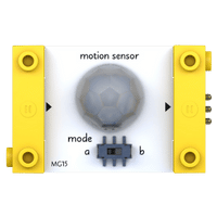 Motion Sensor